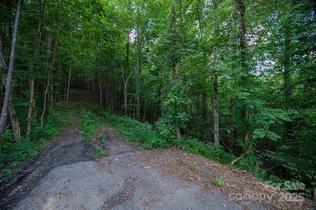 LOT5 Highland Dr, Lake Lure, NC 28746 - photo 5