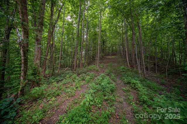 LOT5 Highland Dr, Lake Lure, NC 28746 - photo 6