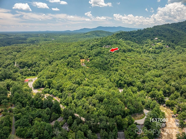 LOT5 Highland Dr, Lake Lure, NC 28746 - photo 8