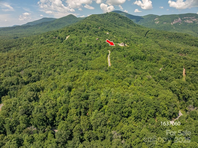 LOT5 Highland Dr, Lake Lure, NC 28746 - photo 10