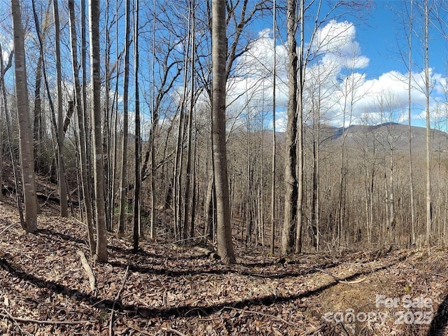 LOT5 Highland Dr, Lake Lure, NC 28746 - photo 12