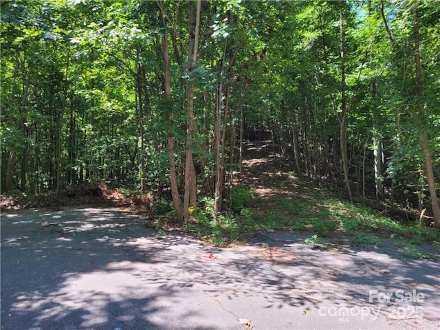 LOT5 Highland Dr, Lake Lure, NC 28746 - photo 13