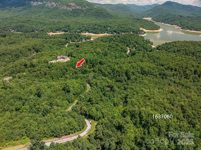 LOT5 Highland Dr, Lake Lure, NC 28746 - photo 16