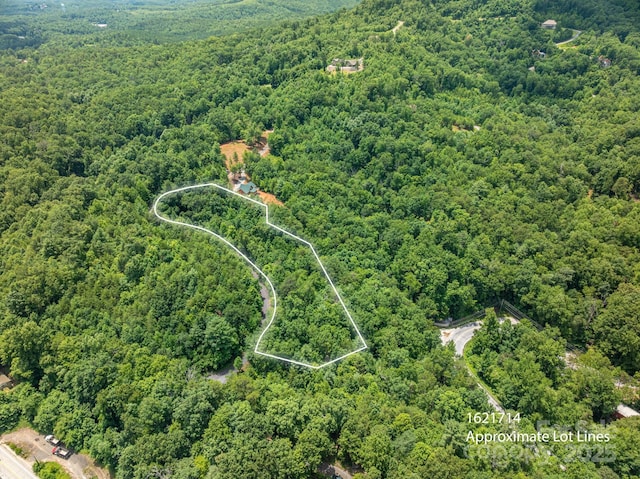 LOT2 Highland Dr, Lake Lure, NC 28746