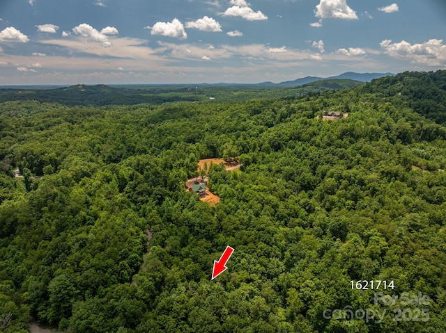 LOT2 Highland Dr, Lake Lure, NC 28746