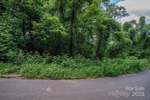 LOT2 Highland Dr, Lake Lure, NC 28746