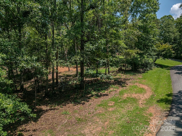 LOT27 Moss Dr, Rutherfordton, NC 28139 - photo 2