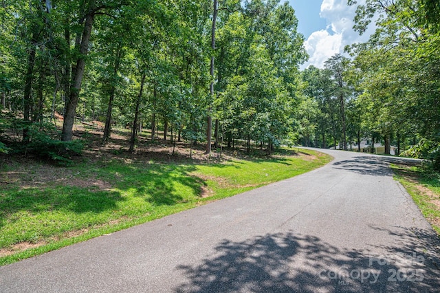 LOT27 Moss Dr, Rutherfordton, NC 28139 - photo 11