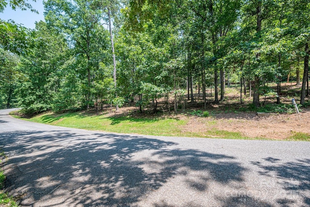 LOT27 Moss Dr, Rutherfordton, NC 28139 - photo 12