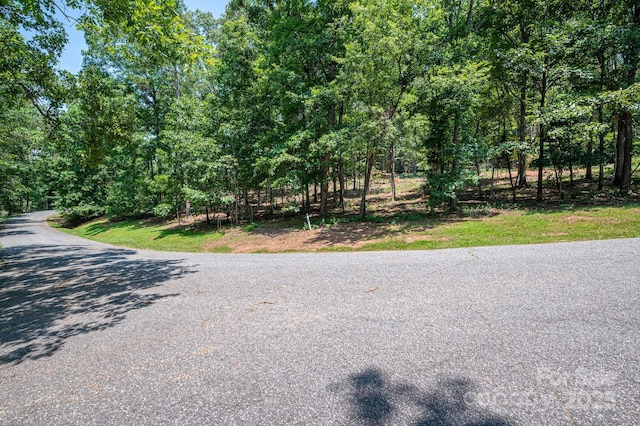 LOT27 Moss Dr, Rutherfordton, NC 28139 - photo 14