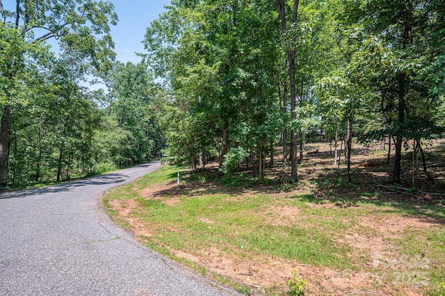 LOT27 Moss Dr, Rutherfordton, NC 28139 - photo 15