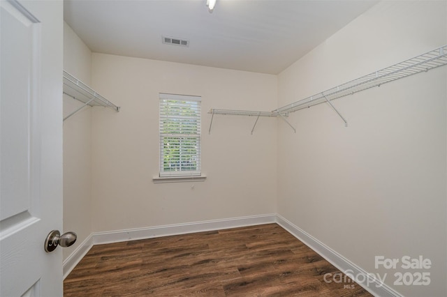 124 Glade Valley Ave, Mooresville, NC 28117 - walk in closet with dark wood-type flooring