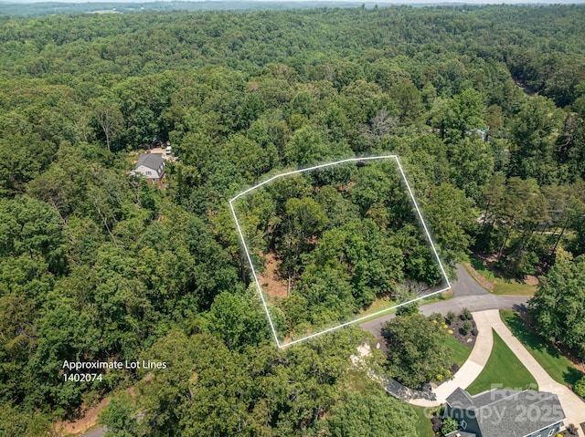 LOT21 Moss Dr, Rutherfordton, NC 28139 - photo 1