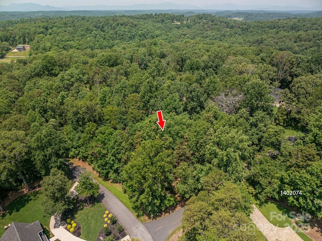 LOT21 Moss Dr, Rutherfordton, NC 28139 - photo 2