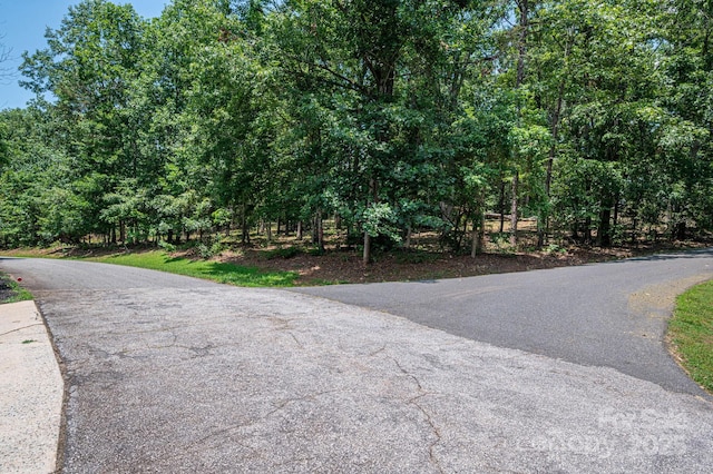 LOT21 Moss Dr, Rutherfordton, NC 28139 - photo 8