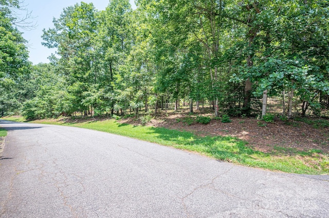 LOT21 Moss Dr, Rutherfordton, NC 28139 - photo 9