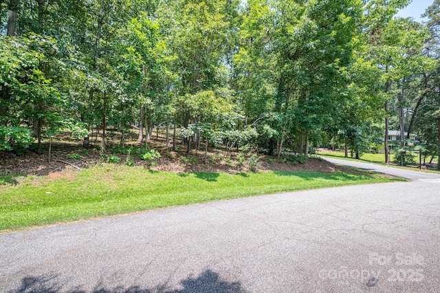 LOT21 Moss Dr, Rutherfordton, NC 28139 - photo 10