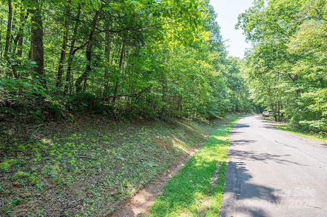 LOT49 Moss Dr, Rutherfordton, NC 28139 - photo 8