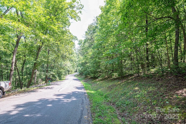 LOT49 Moss Dr, Rutherfordton, NC 28139 - photo 9