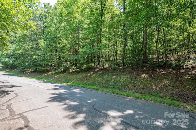LOT49 Moss Dr, Rutherfordton, NC 28139 - photo 10