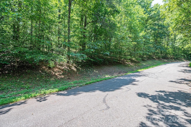 LOT49 Moss Dr, Rutherfordton, NC 28139 - photo 11