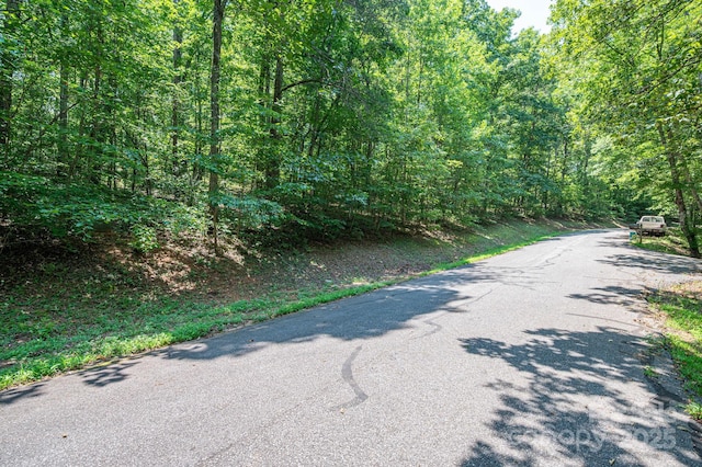 LOT49 Moss Dr, Rutherfordton, NC 28139 - photo 12