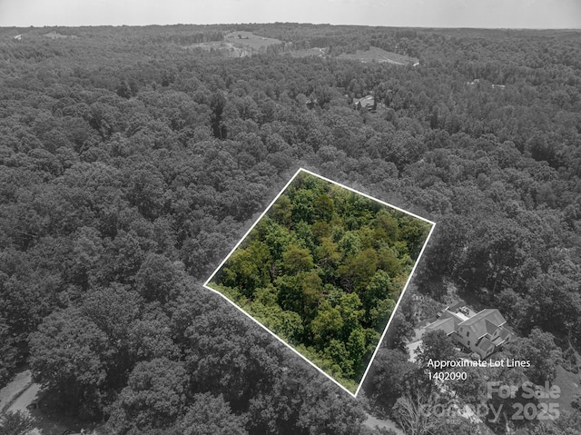 LOT36 Moss Dr, Rutherfordton, NC 28139 - photo 2
