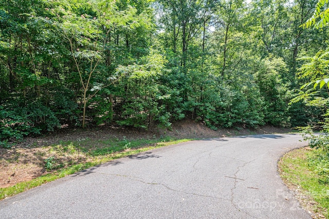 LOT36 Moss Dr, Rutherfordton, NC 28139 - photo 7