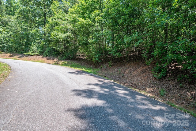 LOT36 Moss Dr, Rutherfordton, NC 28139 - photo 8