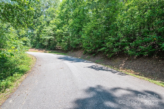 LOT36 Moss Dr, Rutherfordton, NC 28139 - photo 9