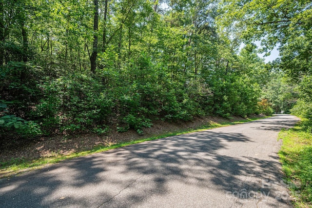 LOT36 Moss Dr, Rutherfordton, NC 28139 - photo 10