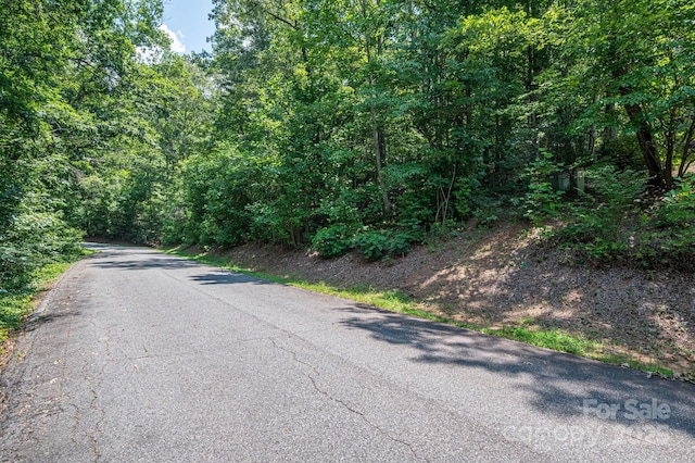 LOT36 Moss Dr, Rutherfordton, NC 28139 - photo 11