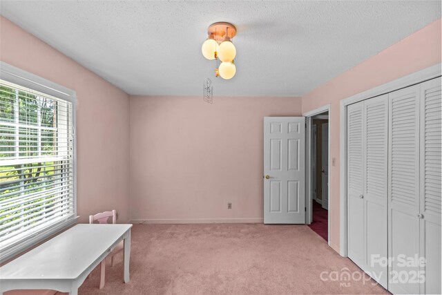8101 Truelight Church Rd, Mint Hill, NC 28227 - photo 38