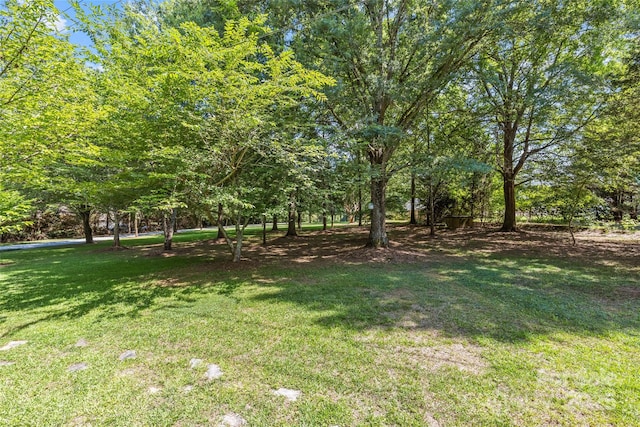 8101 Truelight Church Rd, Mint Hill, NC 28227 - photo 44