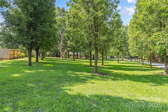 8101 Truelight Church Rd, Mint Hill, NC 28227 - photo 4