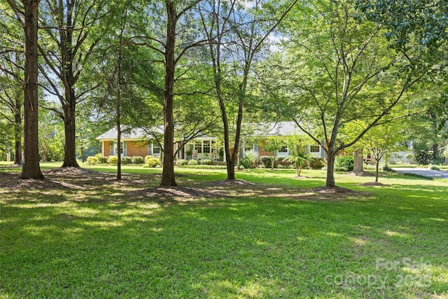 8101 Truelight Church Rd, Mint Hill, NC 28227 - photo 6