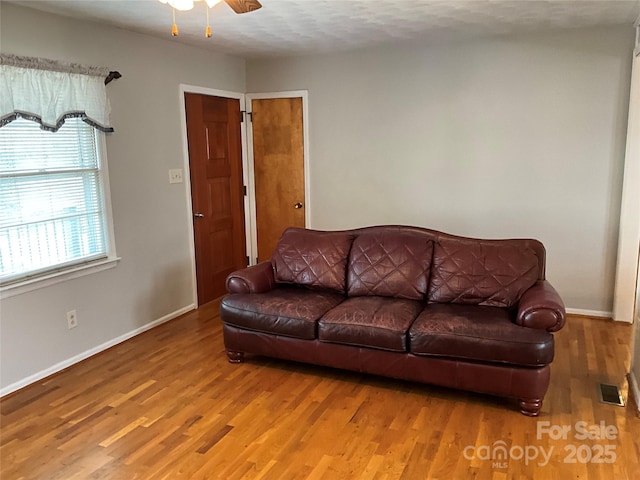 356 Lucky Hollow Rd, Hickory, NC 28601 - living area with wood finished floors and ceiling fan