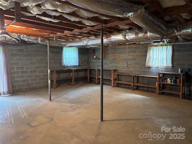 356 Lucky Hollow Rd, Hickory, NC 28601 - below grade area featuring plenty of natural light