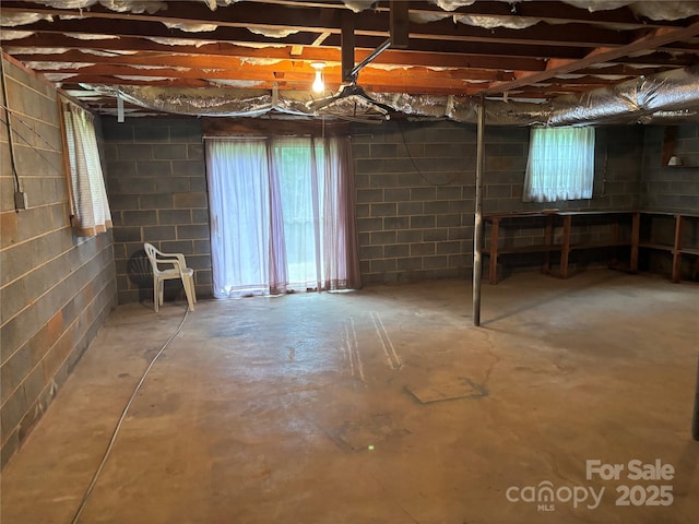 356 Lucky Hollow Rd, Hickory, NC 28601 - basement featuring concrete block wall