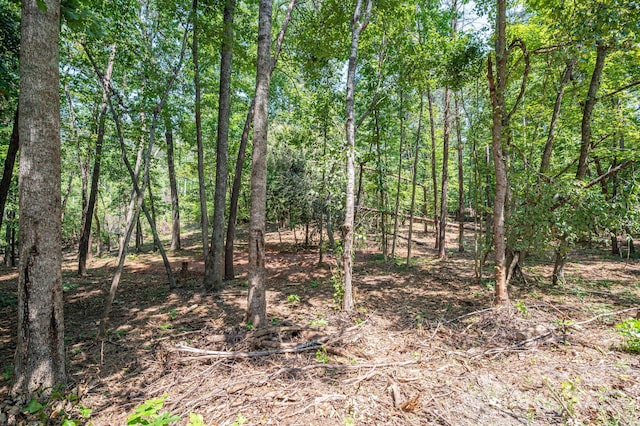 LOT0 Annapolis Ct, Rutherfordton, NC 28139