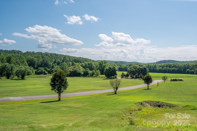 LOT0 Annapolis Ct, Rutherfordton, NC 28139
