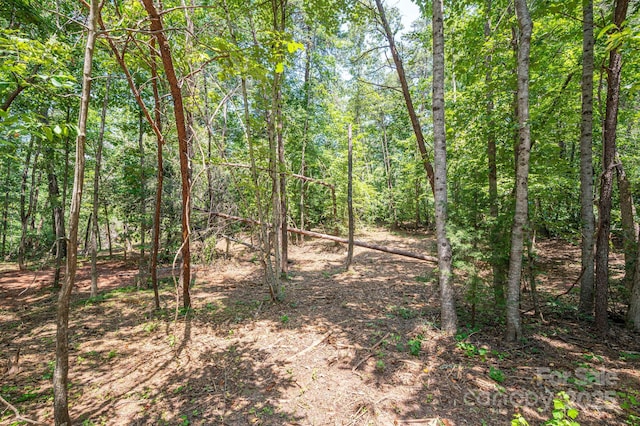 LOT5 Annapolis Ct, Rutherfordton, NC 28139 - photo 7