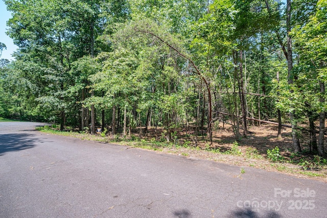 LOT5 Annapolis Ct, Rutherfordton, NC 28139 - photo 8