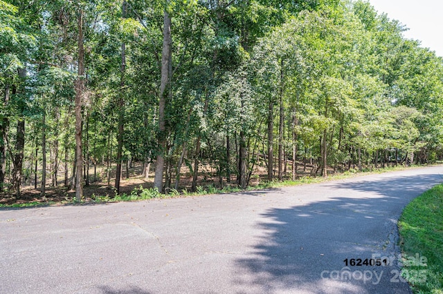 LOT5 Annapolis Ct, Rutherfordton, NC 28139 - photo 9