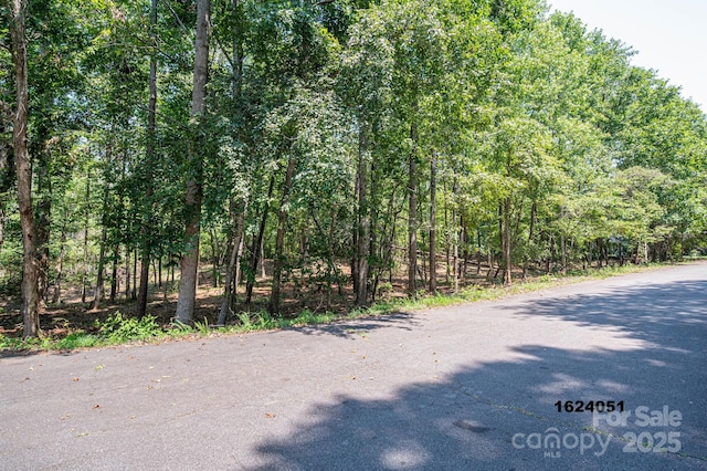 LOT5 Annapolis Ct, Rutherfordton, NC 28139 - photo 10