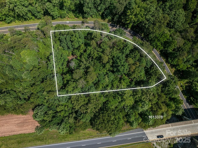 LOT69 Cleghorn Mill Rd, Rutherfordton, NC 28139
