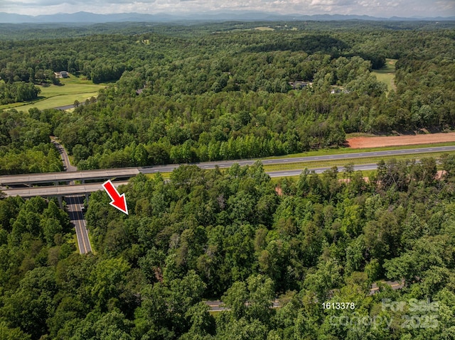 LOT69 Cleghorn Mill Rd, Rutherfordton, NC 28139