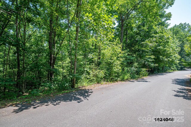 LOT Washburn Ln, Rutherfordton, NC 28139 - photo 3