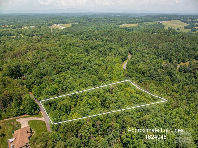 LOT Washburn Ln, Rutherfordton, NC 28139 - photo 8