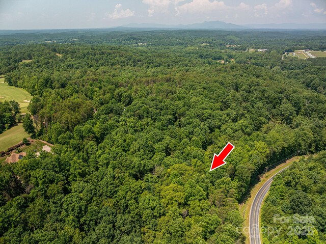 LOT Washburn Ln, Rutherfordton, NC 28139 - photo 10